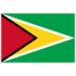 Guyana Flag CaribCoin